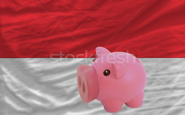 piggy rich bank and  national flag of indonesia    Stock photo © vepar5