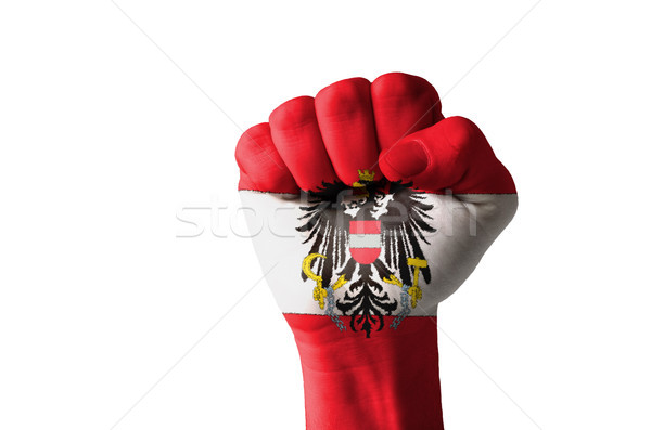 ököl festett színek Ausztria zászló alacsony Stock fotó © vepar5