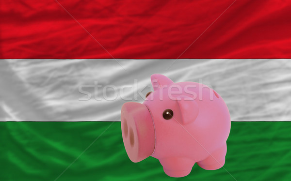 piggy rich bank and  national flag of hungary    Stock photo © vepar5