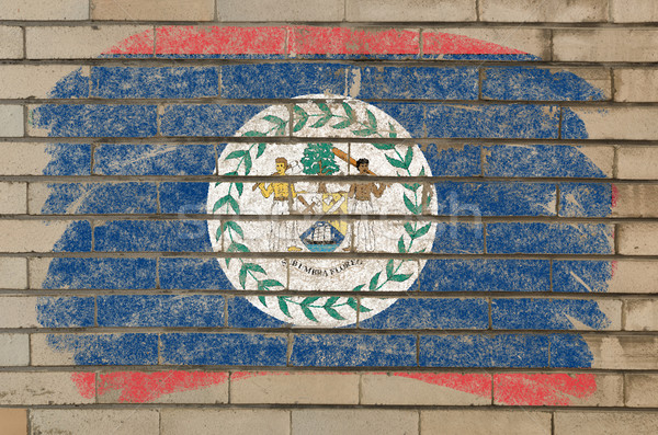 Bandera Belice grunge pared de ladrillo pintado tiza Foto stock © vepar5