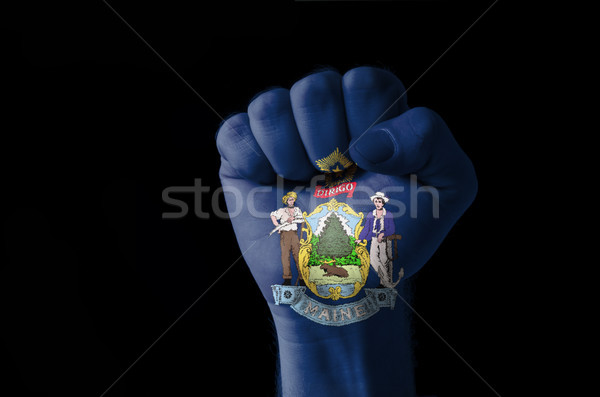 Fist painted in colors of us state of maine flag Stock photo © vepar5