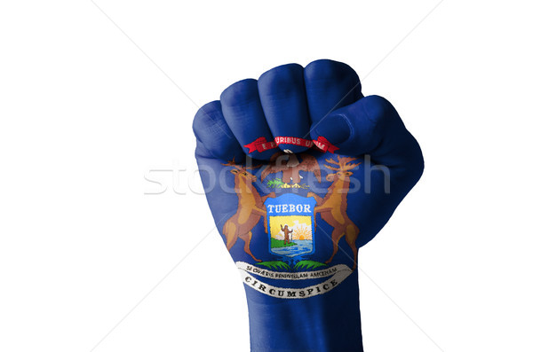 Fist painted in colors of us state of michigan flag Stock photo © vepar5
