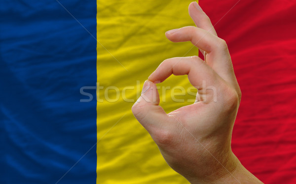 ok gesture in front of romania national flag Stock photo © vepar5