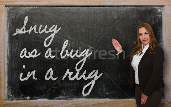 Teacher showing Snug as a bug in a rug on blackboard Stock photo © vepar5