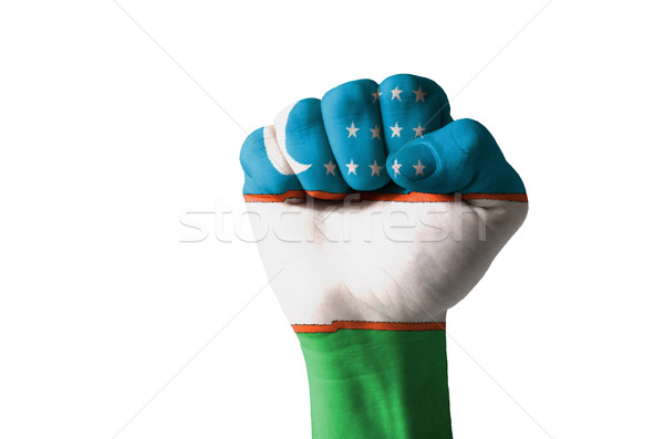 Vuist geschilderd kleuren Oezbekistan vlag laag Stockfoto © vepar5