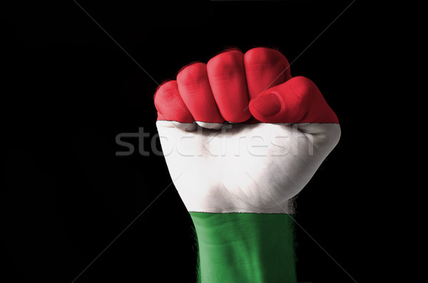 Yumruk boyalı renkler Macaristan bayrak düşük Stok fotoğraf © vepar5