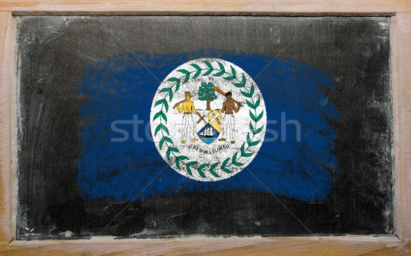 flag of Belize on blackboard painted with chalk   Stock photo © vepar5