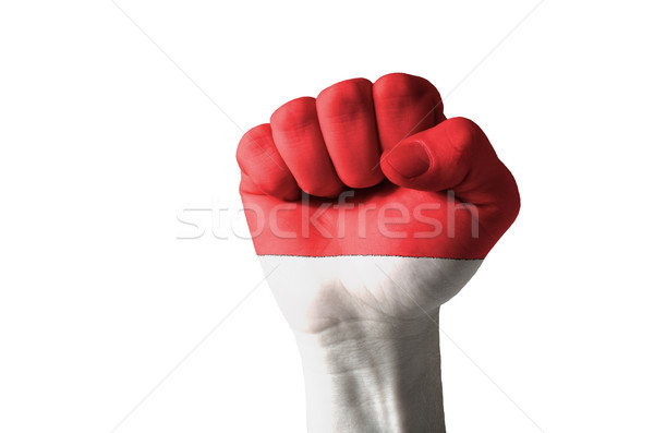 Fist painted in colors of indonesia flag Stock photo © vepar5