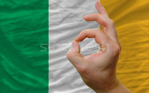 ok gesture in front of ireland national flag Stock photo © vepar5