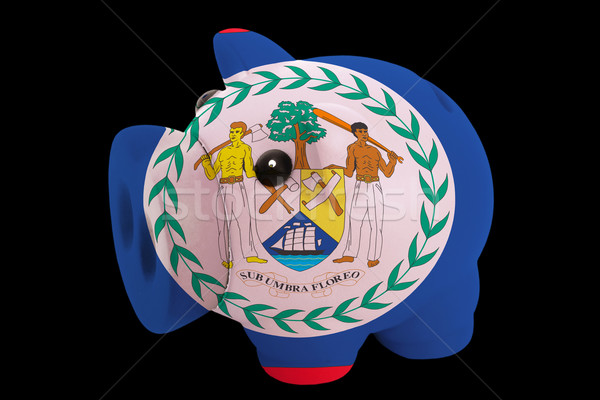 Stock fotó: Malac · gazdag · bank · színek · zászló · Belize