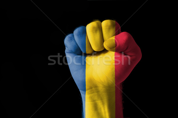拳頭 繪 顏色 羅馬尼亞 旗 低 商業照片 © vepar5