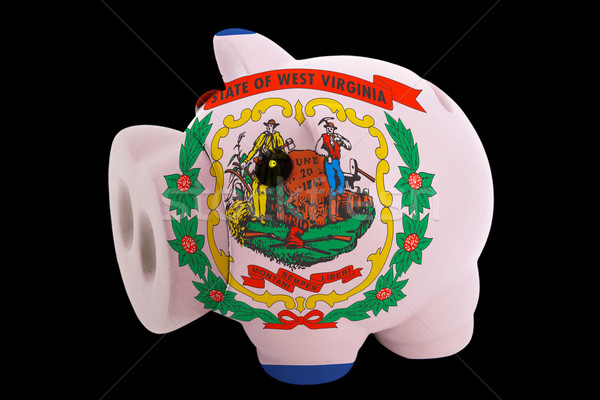 piggy rich bank in colors flag of american state of west virgini Stock photo © vepar5