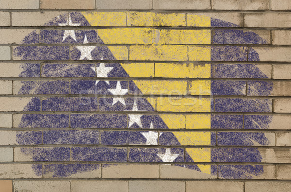 flag of bosnia and herzegovina on grunge brick wall painted with Stock photo © vepar5