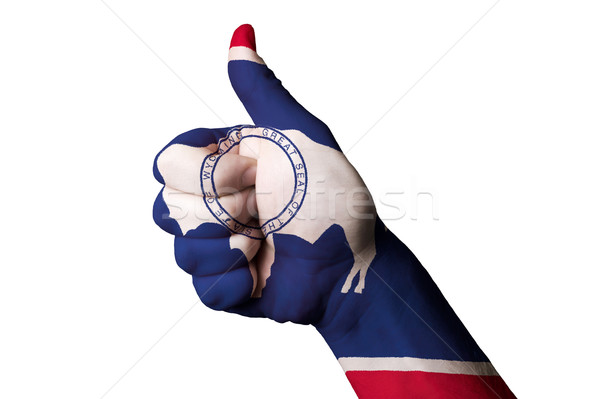 懷俄明州 旗 拇指 上 手勢 卓越 商業照片 © vepar5