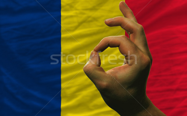 ok gesture in front of chad national flag Stock photo © vepar5