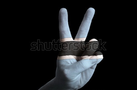 estonia national flag two finger up gesture for victory and winn Stock photo © vepar5
