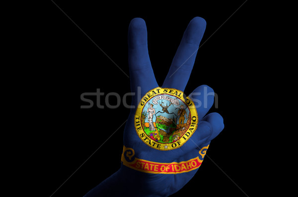 Idaho bandera dos dedo hasta gesto Foto stock © vepar5