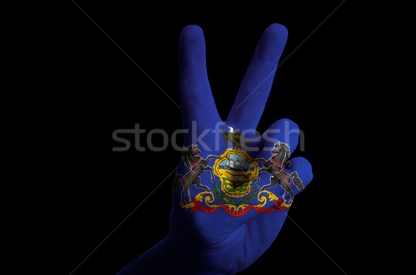 Pennsylvania zászló kettő ujj felfelé kézmozdulat Stock fotó © vepar5