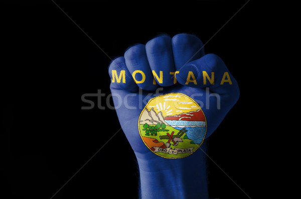 Fist painted in colors of us state of montana flag Stock photo © vepar5