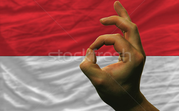 ok gesture in front of indonesia national flag Stock photo © vepar5