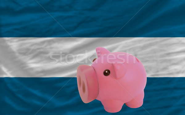 Schweinchen reichen Bank Flagge El Salvador Speichern Stock foto © vepar5