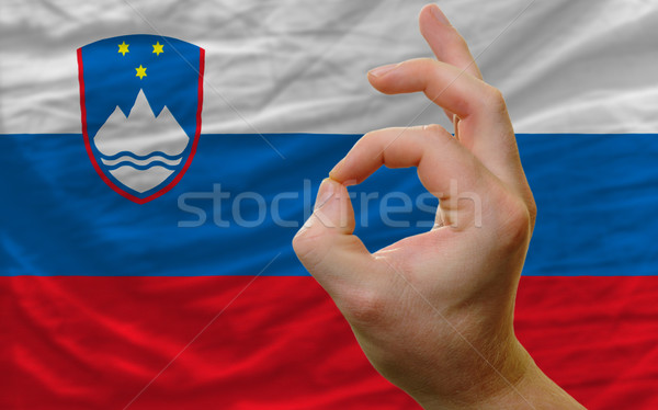 Ok kézmozdulat Szlovénia zászló férfi mutat Stock fotó © vepar5