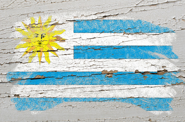 Stockfoto: Vlag · Uruguay · grunge · houten · textuur · geschilderd