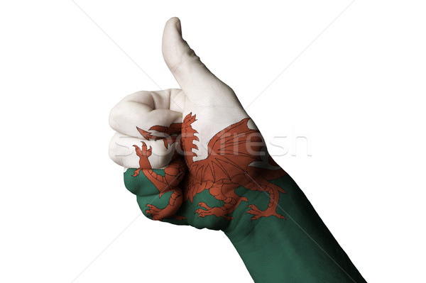wales national flag thumb up gesture for excellence and achievem Stock photo © vepar5