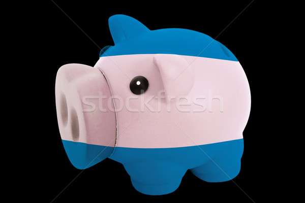 piggy rich bank in colors national flag of el salvador   for sav Stock photo © vepar5