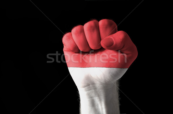 Fist painted in colors of indonesia flag Stock photo © vepar5