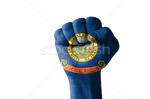 Fist painted in colors of us state of idaho flag Stock photo © vepar5