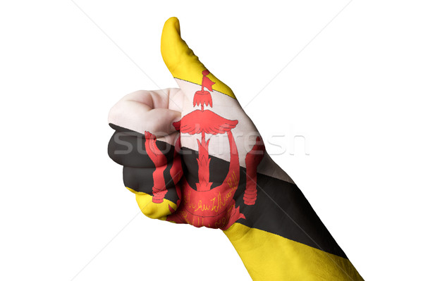 brunei national flag thumb up gesture for excellence and achieve Stock photo © vepar5