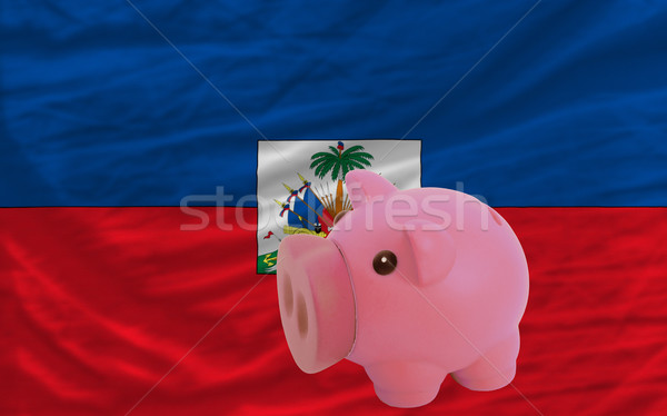 piggy rich bank and  national flag of haiti    Stock photo © vepar5