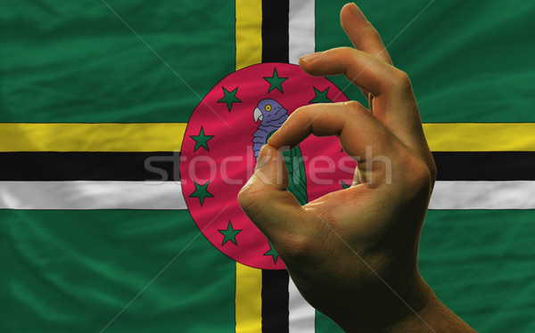 ok gesture in front of dominica national flag Stock photo © vepar5