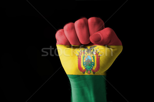Vuist geschilderd kleuren Bolivia vlag laag Stockfoto © vepar5