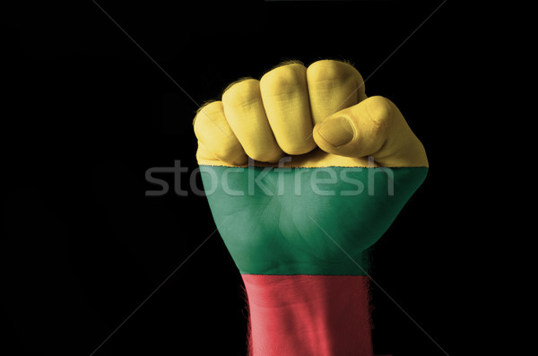 ököl festett színek Litvánia zászló alacsony Stock fotó © vepar5