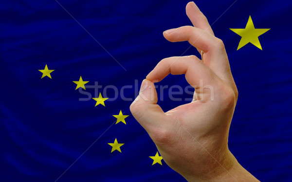 ok gesture in front of alaska us state flag Stock photo © vepar5