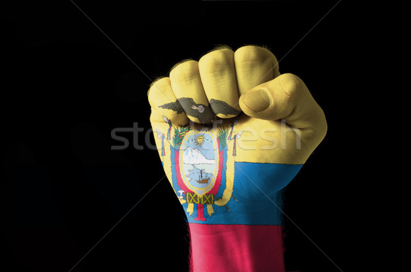 ököl festett színek Ecuador zászló alacsony Stock fotó © vepar5