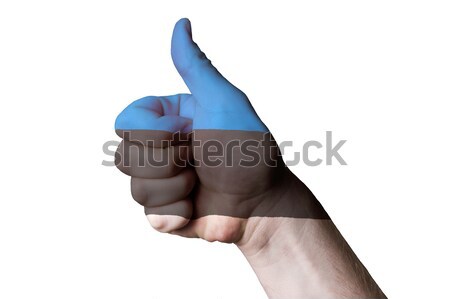 bahrain national flag thumb up gesture for excellence and achiev Stock photo © vepar5