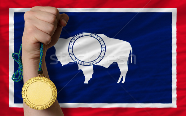 Gold medal for sport and  flag of american state of wyoming    Stock photo © vepar5