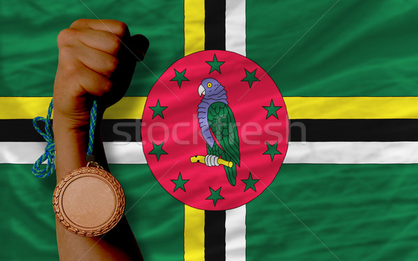 Bronze medalha esportes bandeira Dominica Foto stock © vepar5