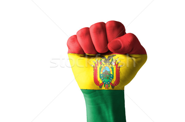 Yumruk boyalı renkler Bolivya bayrak düşük Stok fotoğraf © vepar5