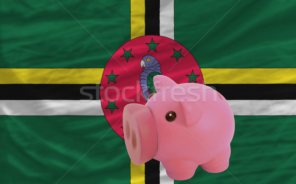 piggy rich bank and  national flag of dominica    Stock photo © vepar5