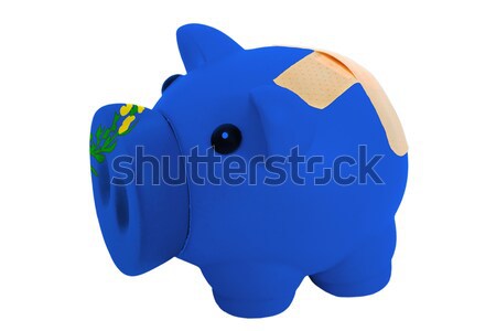 piggy rich bank in colors  flag of american state of nevada    f Stock photo © vepar5