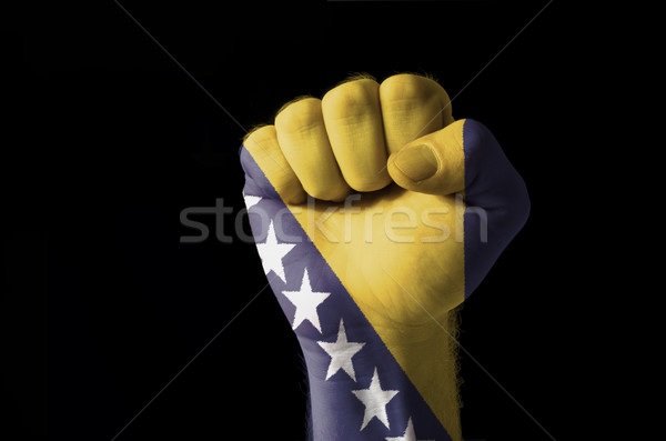 ököl festett színek Bosznia és Hercegovina zászló alacsony Stock fotó © vepar5