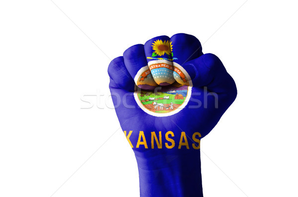 Fist painted in colors of us state of kansas flag Stock photo © vepar5