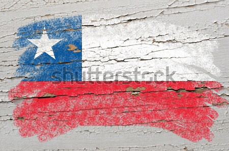 grunge flag of US state of texas on brick wall painted with chal Stock photo © vepar5