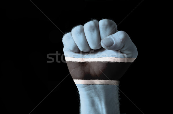 Fist painted in colors of botswana flag Stock photo © vepar5