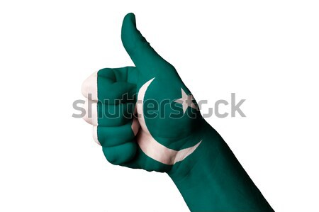 estonia national flag thumb up gesture for excellence and achiev Stock photo © vepar5