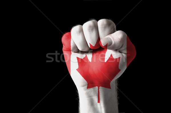 Yumruk boyalı renkler Kanada bayrak düşük Stok fotoğraf © vepar5